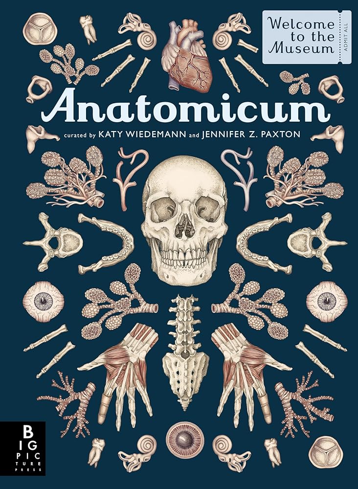 Anatomicum: Welcome to the Museum cover image