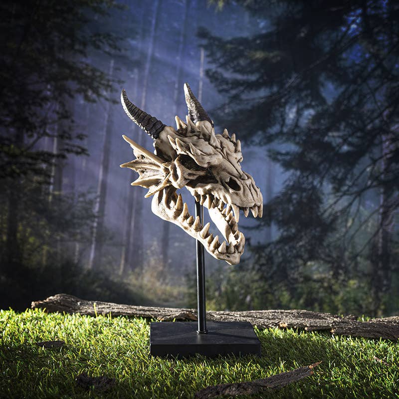 14525 Dragon Skull