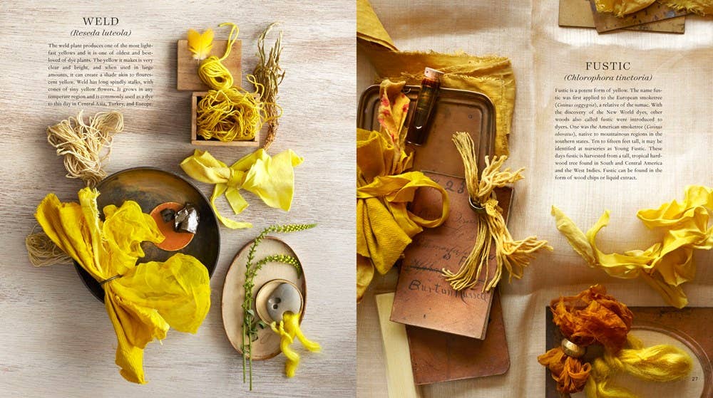 Modern Natural Dyer