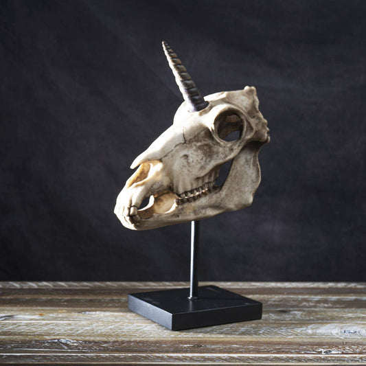 14905 Unicorn Skull on Stand
