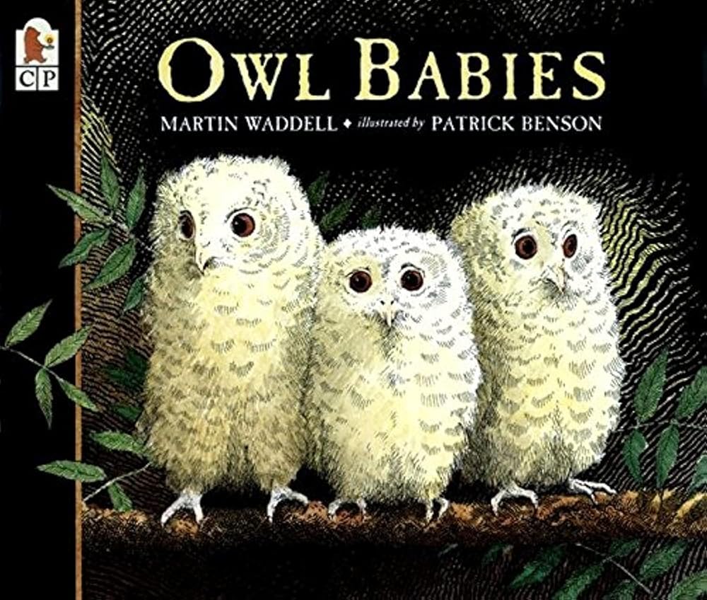 Owl Babies cover image