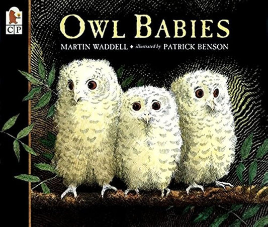 Owl Babies cover image