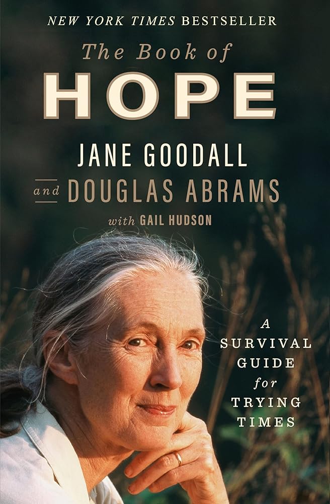 The Book of Hope: A Survival Guide for Trying Times (Global Icons Series) cover image