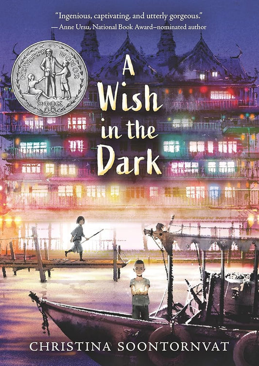 A Wish in the Dark cover image
