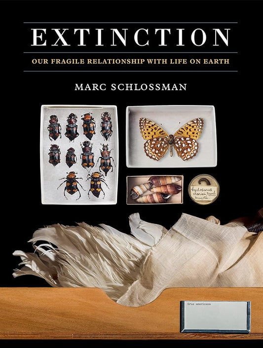 Extinction: Our Fragile Relationship with Life on Earth cover image