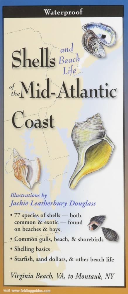 Shells of the Mid-Atlantic Coast: Folding Guide (Foldingguides) cover image