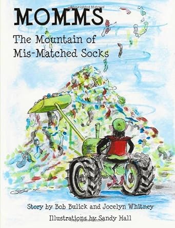 MOMMS: The Mountain of Mis-Matched Socks cover image